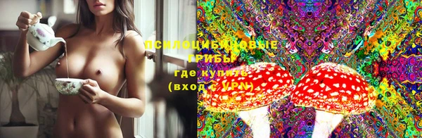 дурь Корсаков