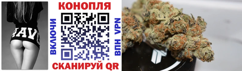 Купить где  Невельск  Конопля Ganja 
